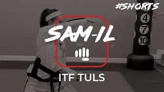 #Shorts - Sam-Il Tul
