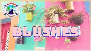 SandShark Productions presents Blushes Visualizer (DJ Quads) 4K