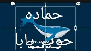 Meet Hamada ElHoot, Anthor Directions!.. Mixing Vocal hamda elhoot! .. AMFIBIANRecords!..