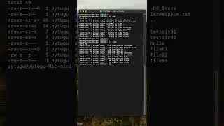macOS Terminal - list all files ordered by size 