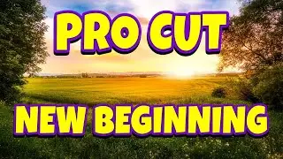 PRO CUT NEW BEGINNING