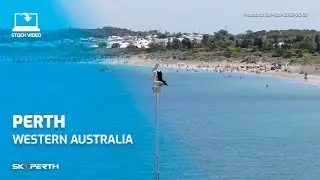 Pelicans at Woodman Point Jetty | Perth