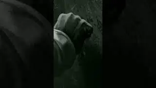 Новое видео:D#зайчик