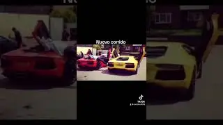 Corrido Nuevo - Historia Prohibida/ Sebasti&aacute;n Lechuga #historiaprohibida #corridos #musica