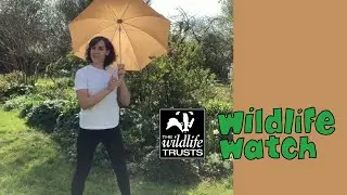 Wildlife Wednesday: Worm charming!