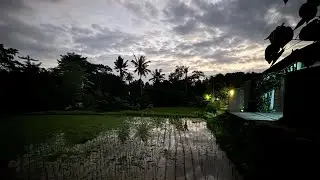 Bali Morning Sounds Meditation - 5 Mins