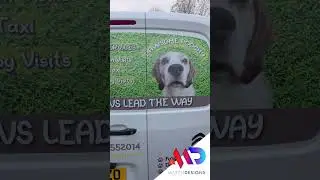 How Custom Van Wraps Boost Local Dog Walking Businesses in Hull