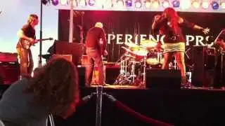 Paul Reed Smith @ Experience PRS 2013