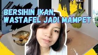 SISIK IKAN BIKIN MAMPET 😩 || vdo.8 #viral #fypシ #asiancity