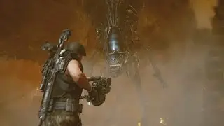 Wiki Aliens : Une Impératrice ? Quelques détails intéressants dans Aliens : Fireteam