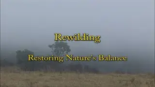 Rewilding: Restoring Nature's Balance