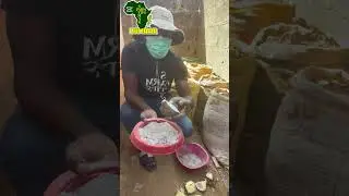 HOW TO PREPARE YAM SEED (MINI SET)