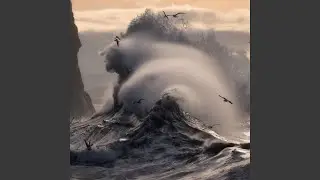 Wind & wave