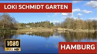 Loki-Schmidt Botanical Garten (HD Walkthrough)