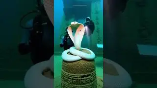 Praachin Shivling Par White Cobra | Underwater Shivling Discovery | Mahadev Chamatkar 🕉️ #mahadev