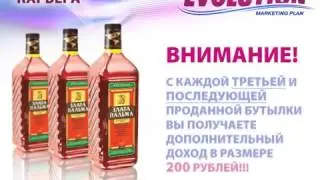 Маркетинг план 'Evolution'  План 'Карьера'