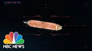 The Environmental Catastrophe We Could Actually Stop | NBC News