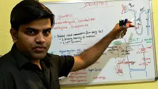 Diuretics part 3/4 USMLE first aid revision renal system