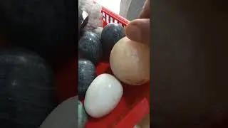 Mutya Vlogger # 296 Crystallize Stone