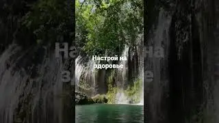 Мощные  #аффирмации на #здоровье от В.Зеланда #shorts #shortsyoutube #evavidpro
