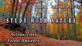 📚4-HOUR STUDY TIMER | Hyper Efficient Focus Ambient 🕒NATURE POMODORO 50/10🍂Soothing Sounds of Autumn