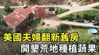 美國夫婦花光積蓄改造山地，把水磨坊變成隱居天堂！#shorts | #紀錄片 #有趣  #creative