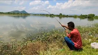 ROHU FISH CATCHING |How Catching The Rohu Fishes 