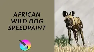 African wild dog Speedpaint | Krita