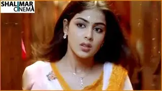 Genelia D'Souza Best Scenes Back to Back || Part 01 || Latest Telugu Movie Scenes || Shalimarcinema