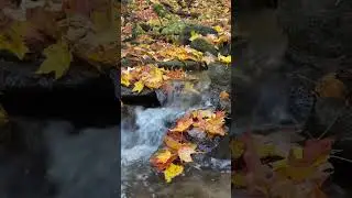Super FAST hiking pt.1 🍁🍂🏃&zwj;♂️💨#shorts
