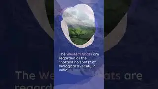 Unveiling the Hidden Treasures of Western Ghats: 🏞️🌿🗺️ Unexplored Trails and Untouched Beauty!