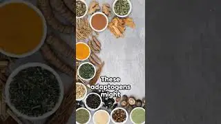 Mystery of Adaptogens