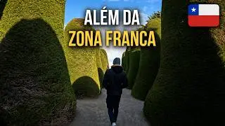 CONHECENDO A CIDADE DE PUNTA ARENAS | CHILE