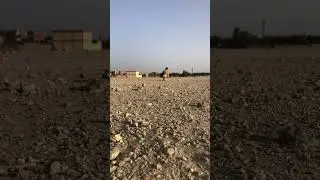 تدريب صقر الوكري علي الملواح #اكسبلور #صقر #falcons #falcon 