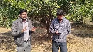 अंबिया बहार फूट व्यवस्थापन आणि पुढील नियोजन 9623934537