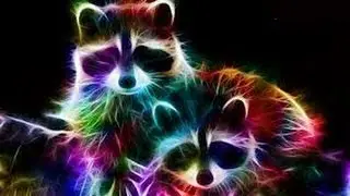 FUN FRACTALS   !!!!