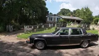 Auburn Alabama ~ Working Class Neighborhood