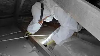 Attic Clean Up
