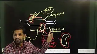 DNA Polymerase III Core Enzyme ll Beta Clamp II Clamp Loader II CSIR-NET II Samrat Ashok