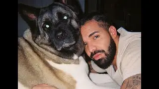 [FREE] Ambition Freestyle | DRAKE FOR ALL THE DOGS X 21 SAVAGE HER LOSS R&B TRAPSOUL TYPE BEAT