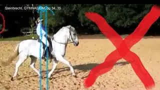 The OPEN SEAT from the GYMNASIUM of the HORSE