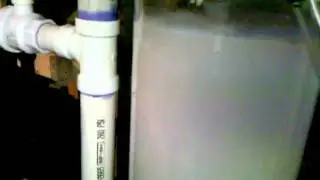 VID 20100819 223426