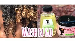 Camille Rose Seal & Soften and Camille Rose Aloe Whipped Butter Gel | Part 3 Wash n Go