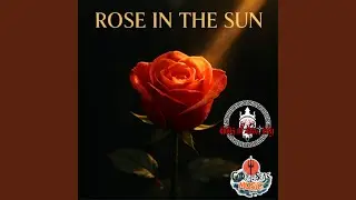 Rose in the Sun