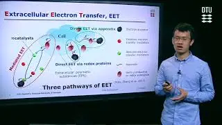 Long-range Interfacial Electron Transfer Between Electrodes and Microorganisms