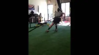 Sled Crossover - rear view