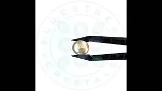 Preciosa Button Half Drill Pearl - Product Video