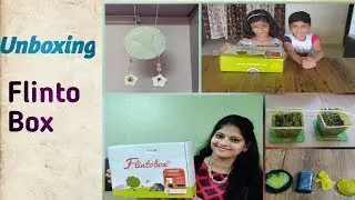 Flintobox Activity For 6-8 Years Old || Kids Fun Time