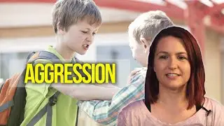Aggression Reinforcers in Applied Behavior Analysis | BCBA Help