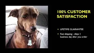 Custom Pet ID Tag &ndash; Glows in the Dark